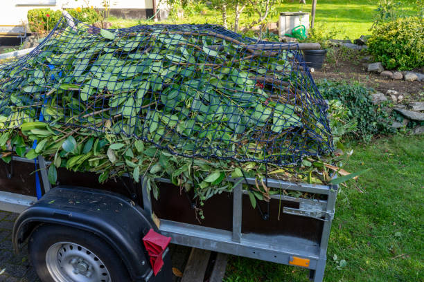 Best Commercial Junk Removal  in Lake Vla, IL